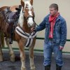 Blagoslov konj 2012 - 027